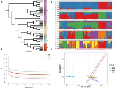 Development of Genomic Resources and Identification of Genetic Diversity and Genetic Structure of the Domestic Bactrian Camel in China by RAD Sequencing